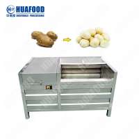 HuaFood HDF800 600kg/h 304 stainless steel  potatoes pelling machine