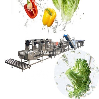 Oem Automatic Salted Pickled Fruit And Vegetables Production Line Processing Line