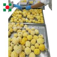 Automatic frozen Vegetable Fruit Processing Line / pineapple processing line